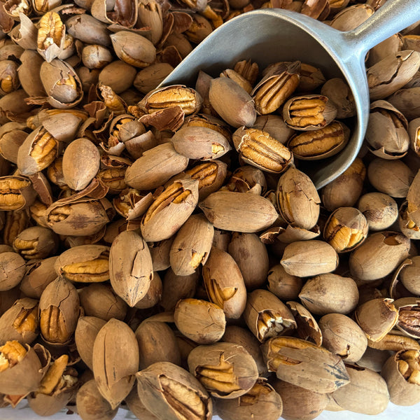 Cracked Paper Shell Pecans Mark's Melon Patch